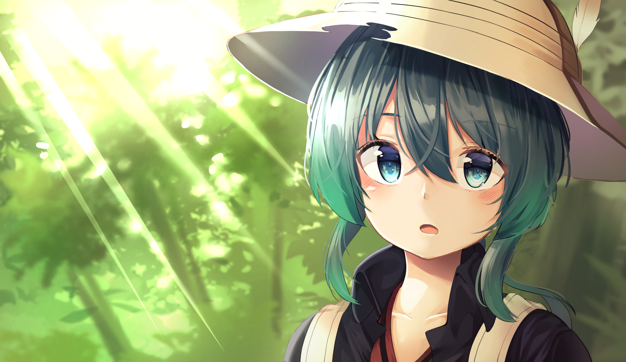 小白菜网页用户登录注册教程 - 深秋云网络